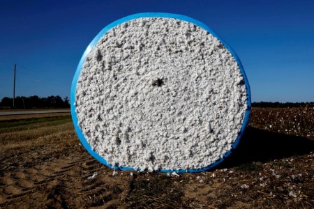 Trade estimates for U.S. 2024 cotton, small grains plantings